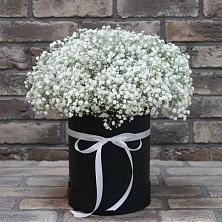 Цветочная композиция из Гипсофила в шляпной коробке в городе Мегион